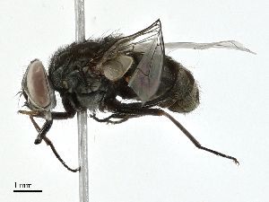  ( - CBG-A00320-A01)  @11 [ ] CreativeCommons - Attribution (2023) CBG Photography Group Centre for Biodiversity Genomics