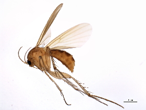 ( - 08TTML-1941)  @14 [ ] CreativeCommons - Attribution (2010) CBG Photography Group Centre for Biodiversity Genomics