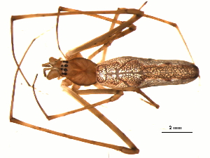  ( - 02-KADIR-G10)  @12 [ ] CreativeCommons - Attribution  Gergin Blagoev Centre for Biodiversity Genomics