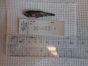  ( - 3D_202_1)  @11 [ ] CC - Attribution Non-Commercial Share-Alike (2022) Catherine Stevens University of Victoria