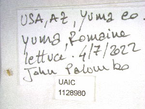  ( - UAIC1128980)  @11 [ ] Unspecified (default): All Rights Reserved (2023) Wendy Moore University of Arizona
