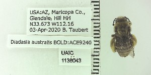  ( - UAIC1138043)  @11 [ ] Unspecified (default): All Rights Reserved (2023) Wendy Moore University of Arizona