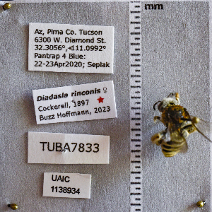  ( - UAIC1138934)  @11 [ ] CC BY (2025) Arizona-Sonora Desert Museum Arizona-Sonora Desert Museum