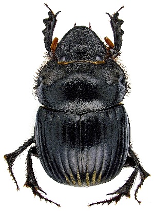  ( - UAIC1139164)  @11 [ ] Copyright  Salvador Vitanza Unspecified