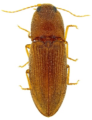  ( - UAIC1139371)  @11 [ ] Copyright  Salvador Vitanza Unspecified