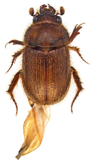  ( - UAIC1151379)  @11 [ ] Copyright  Salvador Vitanza Unspecified