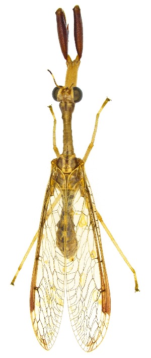  ( - UAIC1151428)  @11 [ ] Copyright  Salvador Vitanza Unspecified