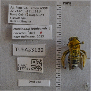  ( - UAIC1177043)  @11 [ ] by (2024) Unspecified Arizona-Sonora Desert Museum