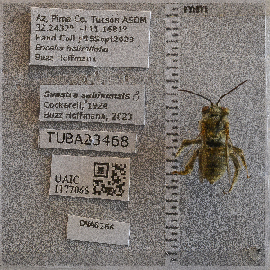  ( - UAIC1177066)  @11 [ ] by (2024) Unspecified Arizona-Sonora Desert Museum