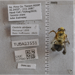  ( - UAIC1177085)  @11 [ ] by (2024) Unspecified Arizona-Sonora Desert Museum