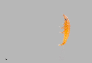  ( - UAIC1127020)  @11 [ ] by (2022) Wendy Moore The University of Arizona