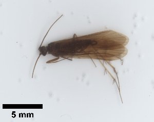  ( - UCOL_1451)  @11 [ ] CreativeCommons  Attribution Non-Commercial Share-Alike (2024) Unspecified Brigham Young University