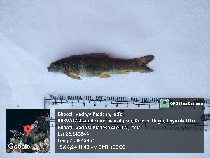  ( - ULVSP17)  @11 [ ] Unspecified (default): All Rights Reserved  Unspecified Unspecified