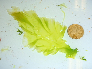  ( - GWS039876)  @11 [ ] Unspecified (default): All Rights Reserved  Unspecified Unspecified