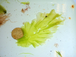  ( - GWS039878)  @11 [ ] Unspecified (default): All Rights Reserved  Unspecified Unspecified