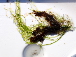  ( - GWS050034)  @11 [ ] Unspecified (default): All Rights Reserved  Unspecified Unspecified