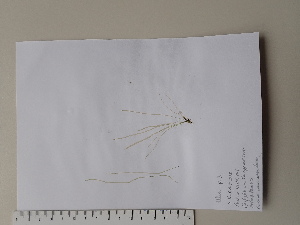  ( - 0722_KAT012)  @11 [ ] Copyright (c) (2024) Unspecified Ghent University