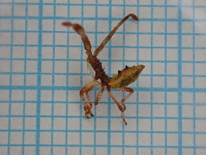  ( - UM_ACDB_0062)  @11 [ ] by-nc-sa (2022) Thomas Ribeiro Dos Santos Universite Montpellier