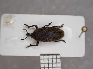  ( - UM_AAUU_AAUU433)  @11 [ ] by-nc-sa (2023) Fabre Pierre-Henri Universite Montpellier