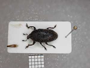  ( - UM_AAUU_AAUU461)  @11 [ ] by-nc-sa (2023) Fabre Pierre-Henri Universite Montpellier