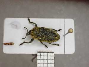  ( - UM_AAUU_AAUU434)  @11 [ ] by-nc-sa (2023) Fabre Pierre-Henri Universite Montpellier