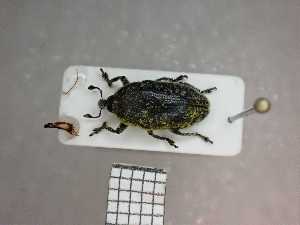  ( - UM_AAUU_AAUU422)  @11 [ ] by-nc-sa (2023) Fabre Pierre-Henri Universite Montpellier