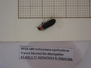  ( - AAUU_01113)  @11 [ ] by-nc-sa (2023) University of Montpellier Universite Montpellier