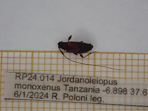  ( - AAUU_01129)  @11 [ ] by-nc-sa (2023) University of Montpellier Universite Montpellier