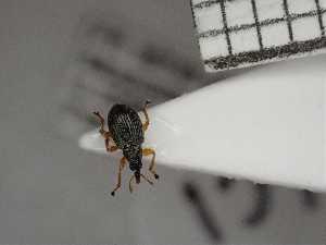  ( - UM_AAUU_00595)  @11 [ ] by-nc-sa (2023) Fabre Pierre-Henri Universite Montpellier