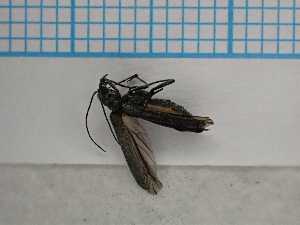  ( - UM_AAUU_00614)  @11 [ ] by-nc-sa (2023) University of Montpellier Universite Montpellier