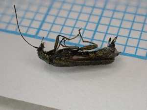  ( - UM_AAUU_00616)  @11 [ ] by-nc-sa (2023) University of Montpellier Universite Montpellier