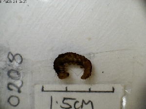  ( - UG208)  @11 [ ] CreativeCommons - Attribution Non-Commercial Share-Alike (2012) Christopher T Jeffs University of Oxford