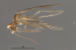  ( - RBCAD-1792)  @11 [ ] CreativeCommons - Attribution (2008) CBG Photography Group Centre for Biodiversity Genomics
