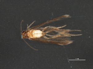  ( - RBCAD-1969)  @13 [ ] CreativeCommons - Attribution (2009) CBG Photography Group Centre for Biodiversity Genomics