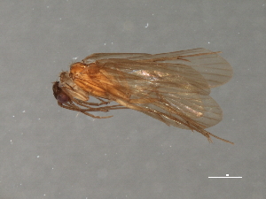  ( - RBCAD-2139)  @11 [ ] CreativeCommons - Attribution (2009) CBG Photography Group Centre for Biodiversity Genomics
