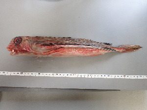  ( - UNA026)  @11 [ ] Unspecified (default): All Rights Reserved  Unspecified Unspecified