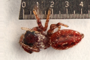  ( - W170216)  @11 [ ] CreativeCommons - Attribution Share-Alike (2017) Unspecified University of California, San Diego