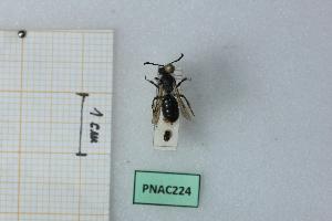  ( - BGE_00438_C02)  @11 [ ] CreativeCommons  Attribution Non-Commercial Share-Alike (2025) Adele Bordoni Università degli Studi di Firenze