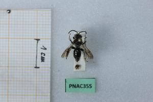  ( - BGE_00439_G03)  @11 [ ] CreativeCommons  Attribution Non-Commercial Share-Alike (2025) Marco Bonifacino Universit&agrave; degli Studi di Firenze