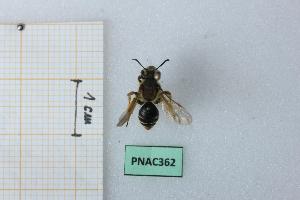  ( - BGE_00439_G10)  @11 [ ] CreativeCommons  Attribution Non-Commercial Share-Alike (2025) Marco Bonifacino Università degli Studi di Firenze