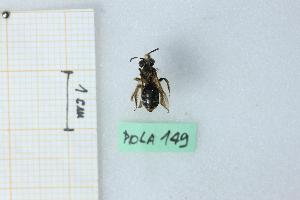  ( - BGE_00930_D04)  @11 [ ] CreativeCommons  Attribution Non-Commercial Share-Alike (2025) Marco Bonifacino Università degli Studi di Firenze