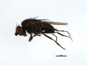  ( - 09BBDIP-0415)  @12 [ ] CreativeCommons - Attribution (2009) CBG Photography Group Centre for Biodiversity Genomics