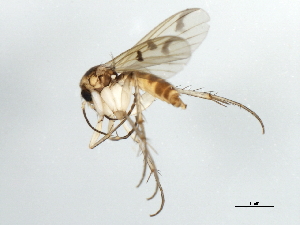  ( - 09BBDIP-1395)  @12 [ ] CreativeCommons - Attribution (2009) CBG Photography Group Centre for Biodiversity Genomics