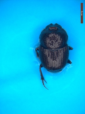  ( - UTOCP_22)  @11 [ ] CreativeCommons - Attribution Non-Commercial Share-Alike (2025) Unspecified University of Turin