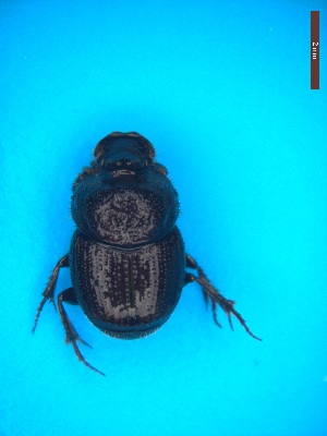  ( - UTOCP_23)  @11 [ ] CreativeCommons - Attribution Non-Commercial Share-Alike (2025) Unspecified University of Turin