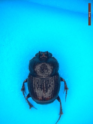  ( - UTOCP_25)  @11 [ ] CreativeCommons - Attribution Non-Commercial Share-Alike (2025) Unspecified University of Turin