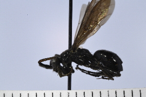  ( - UUPomp_021)  @11 [ ] Copyright (2024) Jeremy Blaschke Union University