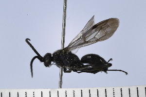  ( - UUPomp_022)  @11 [ ] Copyright (2024) Jeremy Blaschke Union University