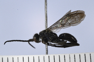  ( - UUPomp_024)  @11 [ ] Copyright (2024) Jeremy Blaschke Union University