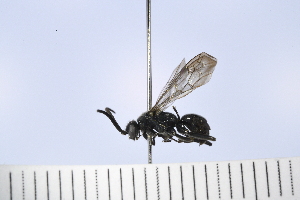  ( - UUPomp_026)  @11 [ ] Copyright (2024) Jeremy Blaschke Union University